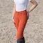 Coldstream Ledmore Diamante Breeches - Tiger