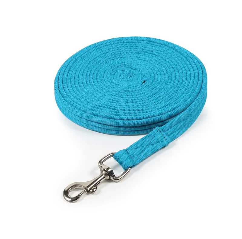 Shires Cushion Web Lunge Line - Blue