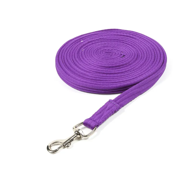 Shires Cushion Web Lunge Line - Purple
