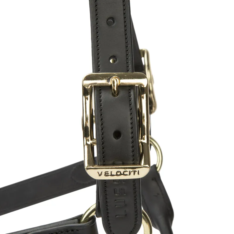 Shires Velociti Lusso Soria Leather Headcollar - Black-1