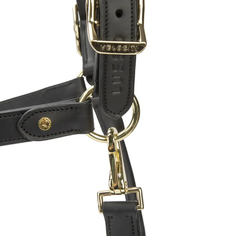 Shires Velociti Lusso Soria Leather Headcollar - Black-2