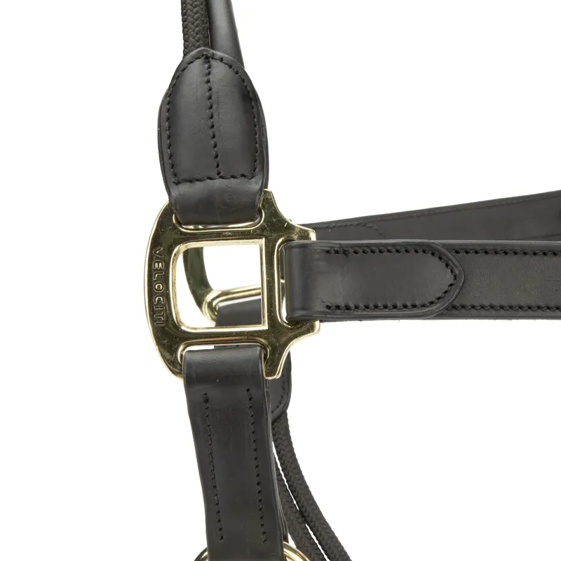 Shires Velociti Lusso Soria Leather Headcollar - Black-3
