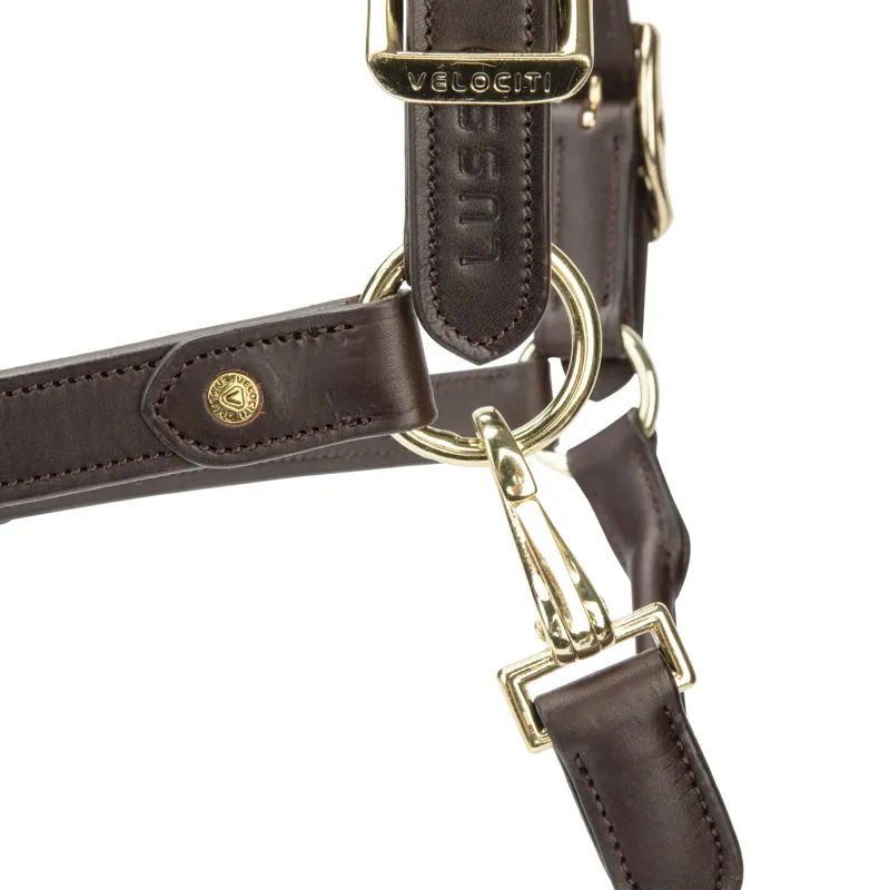 Shires Velociti Lusso Soria Leather Headcollar - Havana-2