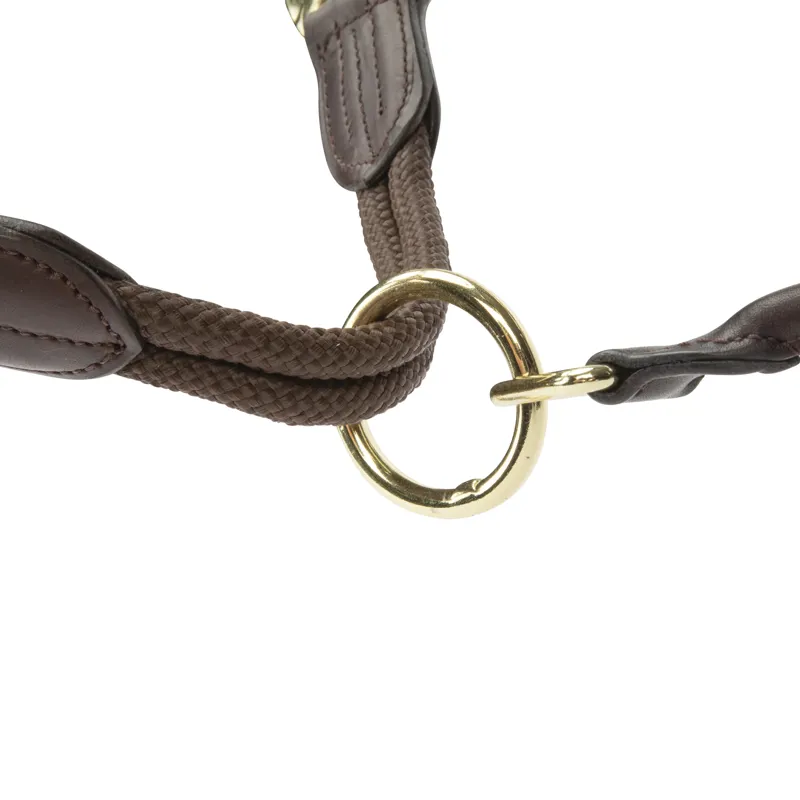 Shires Velociti Lusso Soria Leather Headcollar - Havana-4