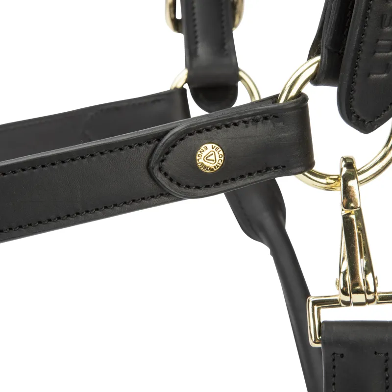 Shires Velociti Lusso Soria Leather Headcollar - Black-5