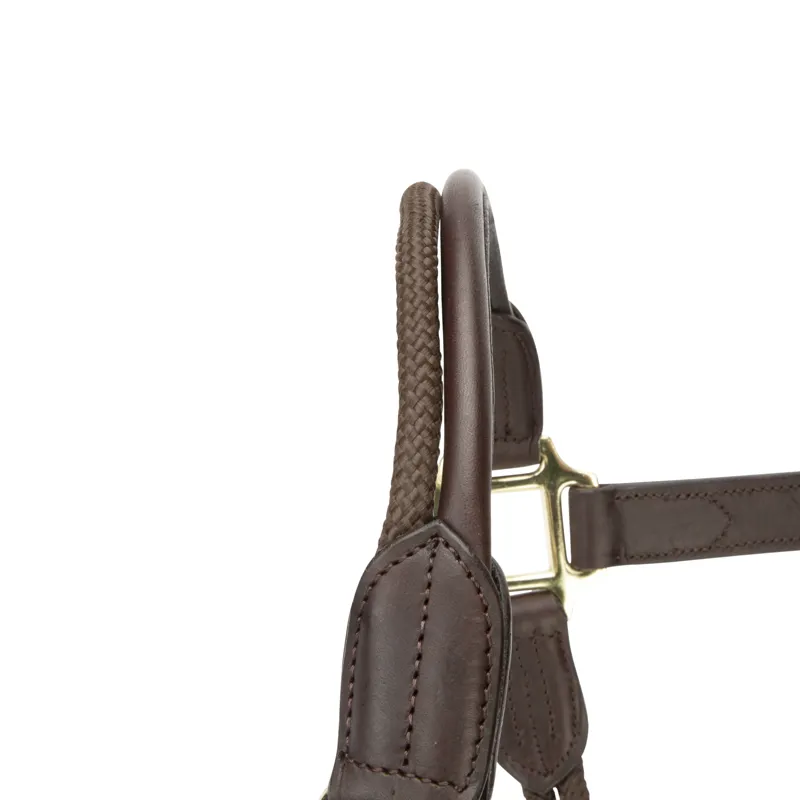 Shires Velociti Lusso Soria Leather Headcollar - Havana-5
