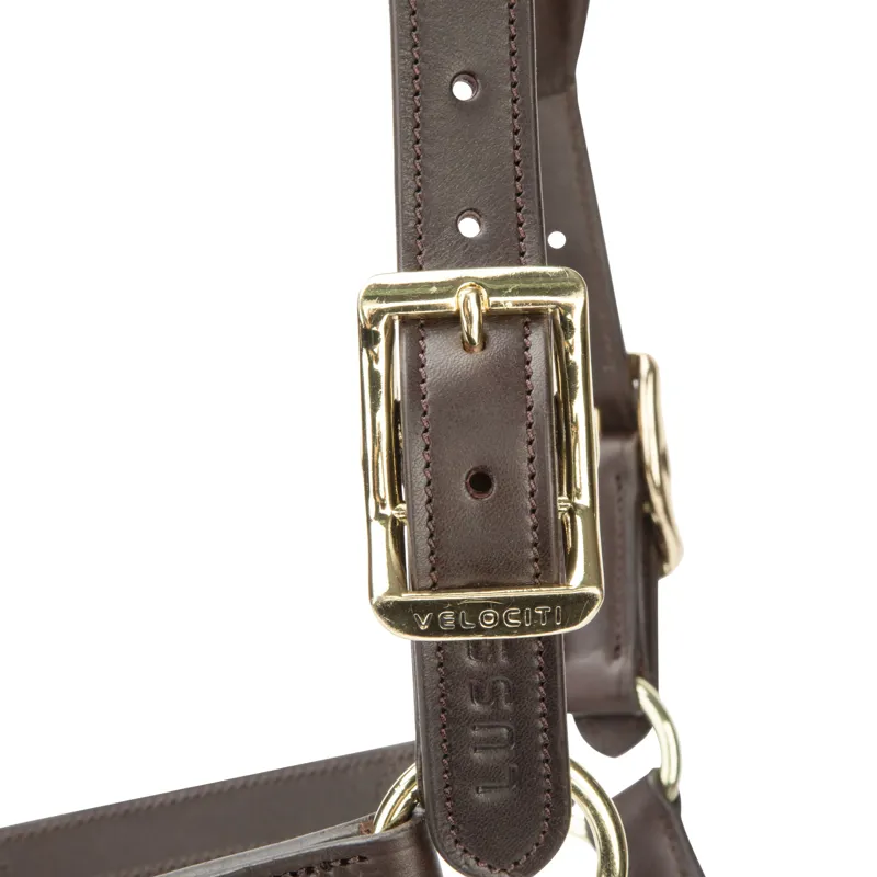 Shires Velociti Lusso Soria Leather Headcollar - Havana-1