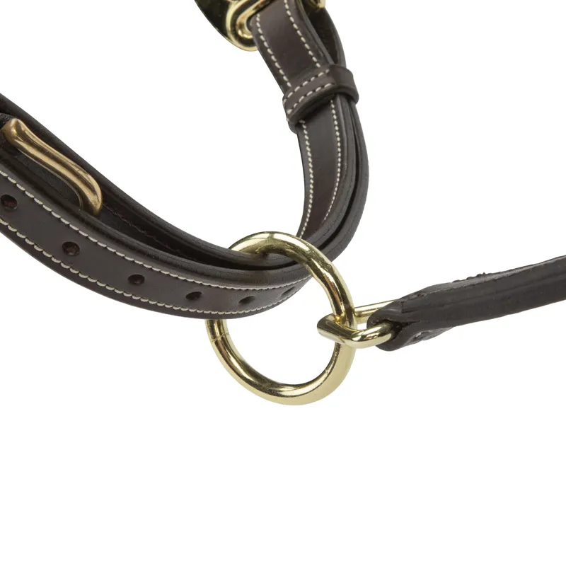 Shires Velociti Lusso Girona Leather Headcollar - Havana-3