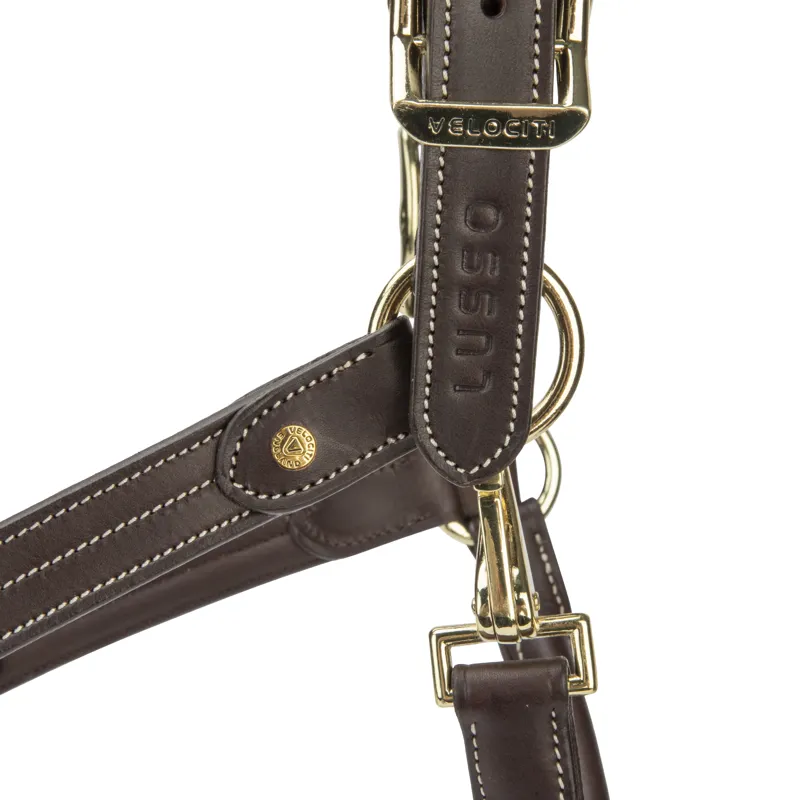 Shires Velociti Lusso Girona Leather Headcollar - Havana-4
