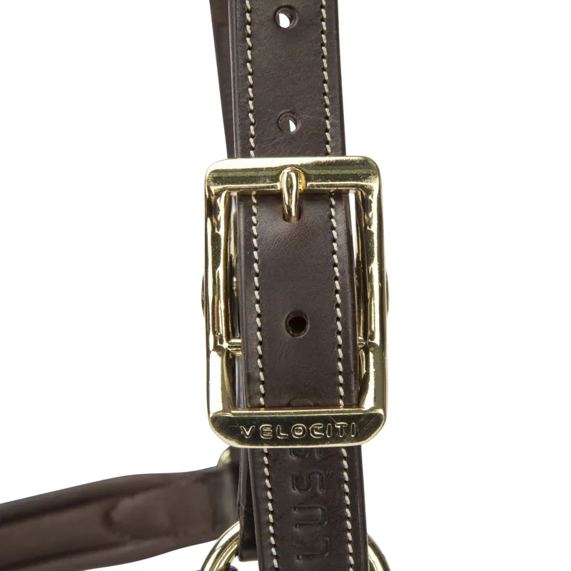 Shires Velociti Lusso Lorca Leather Headcollar - Havana-2