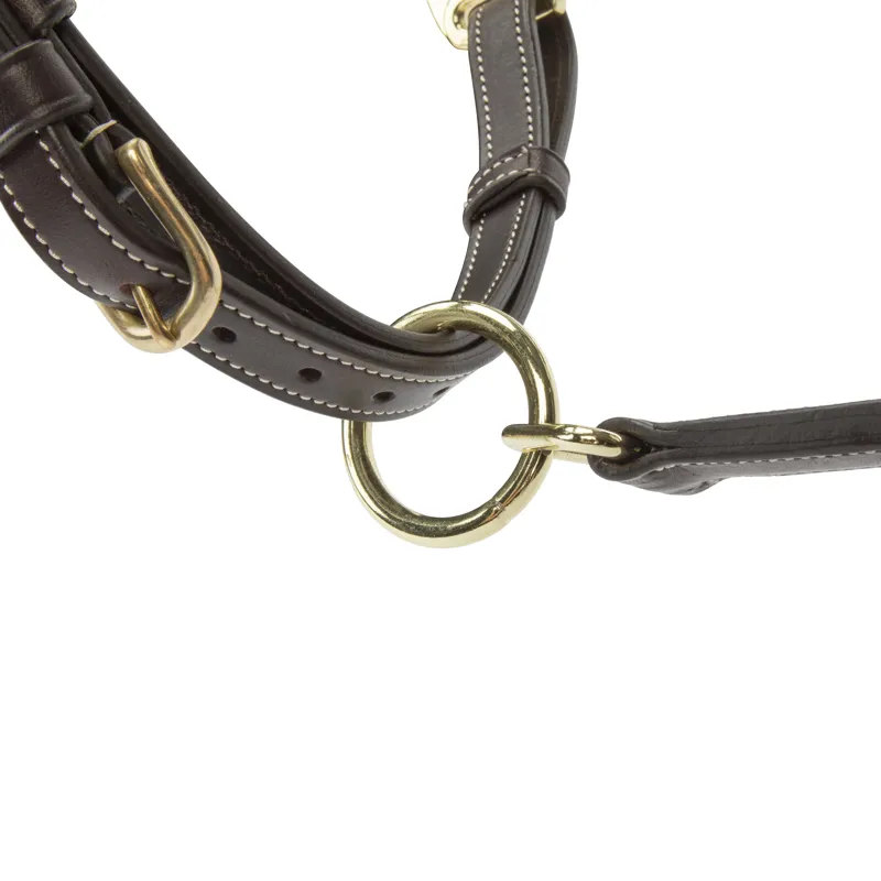 Shires Velociti Lusso Lorca Leather Headcollar - Havana-5