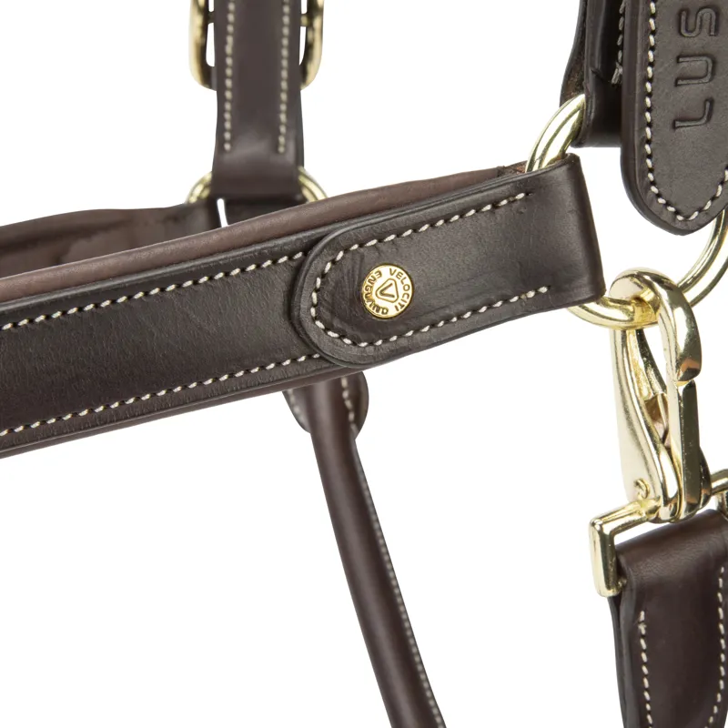 Shires Velociti Lusso Lorca Leather Headcollar - Havana-7