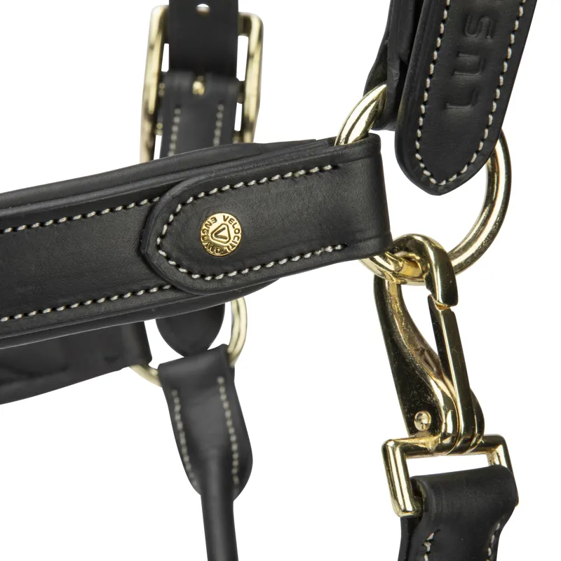 Shires Velociti Lusso Lorca Leather Headcollar - Black-4