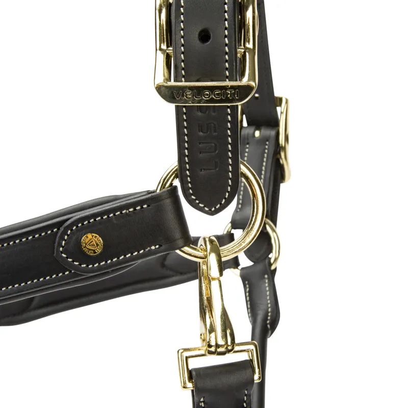 Shires Velociti Lusso Lorca Leather Headcollar - Black-2