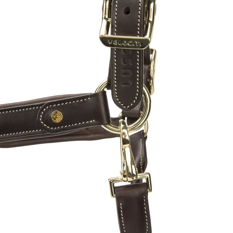 Shires Velociti Lusso Lorca Leather Headcollar - Havana-3