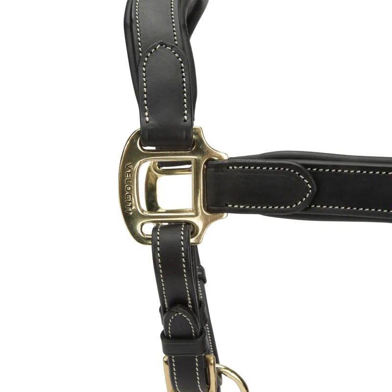 Shires Velociti Lusso Lorca Leather Headcollar - Black-7