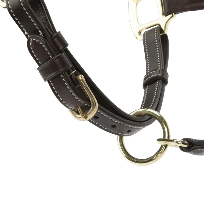 Shires Velociti Lusso Lorca Leather Headcollar - Havana-1