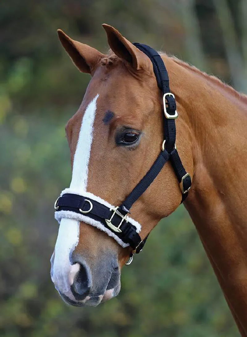 Shires Fleece Lined Lunge Cavesson - Black