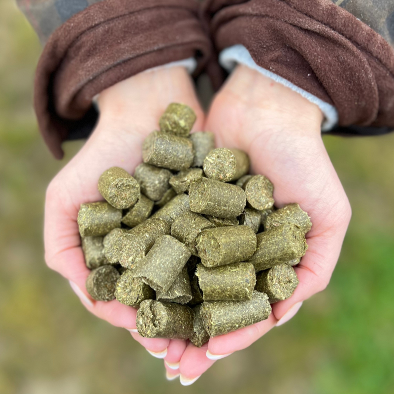 Silvermoor Eco Treatsies-1