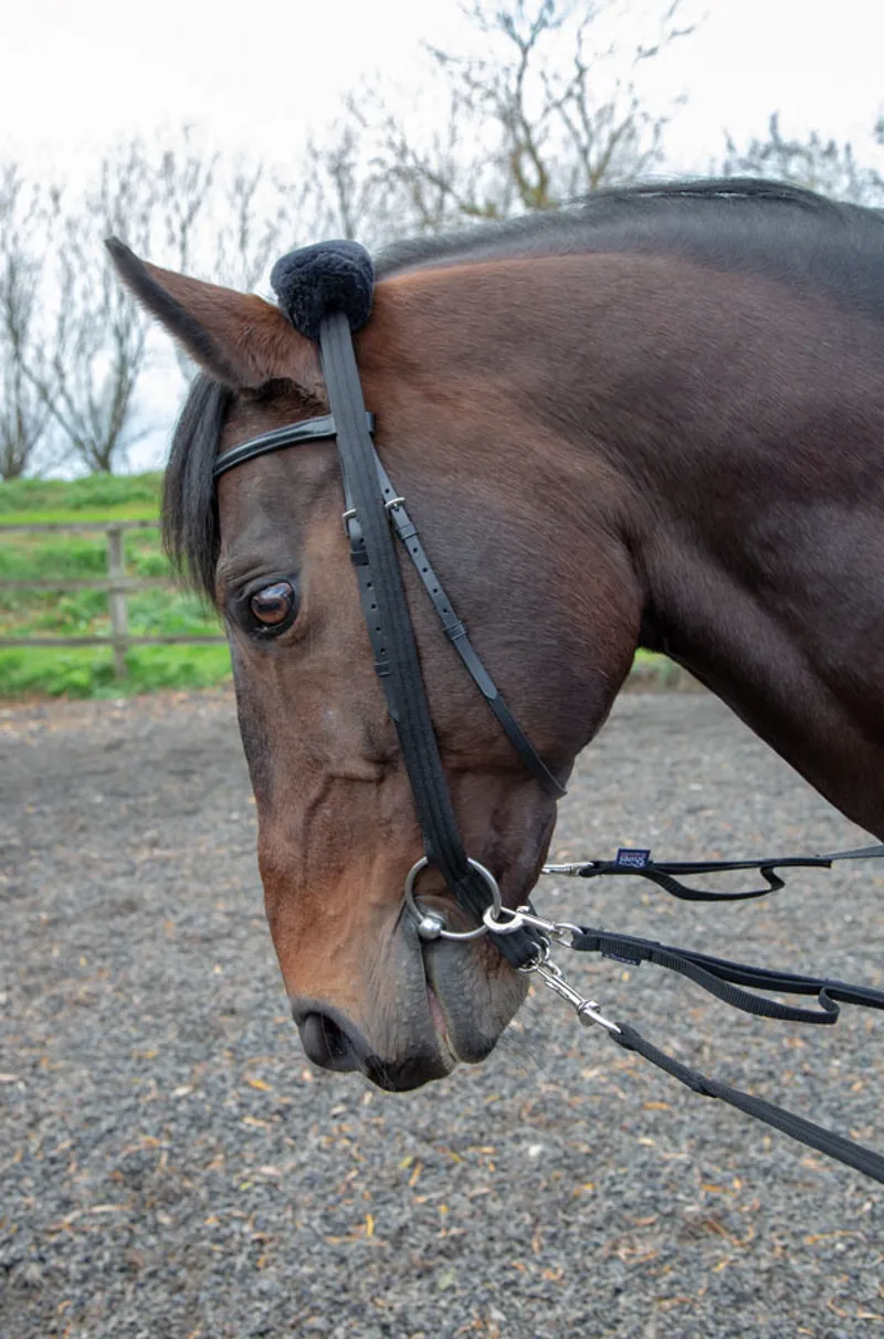 Shires Lunging Adaptor - Black