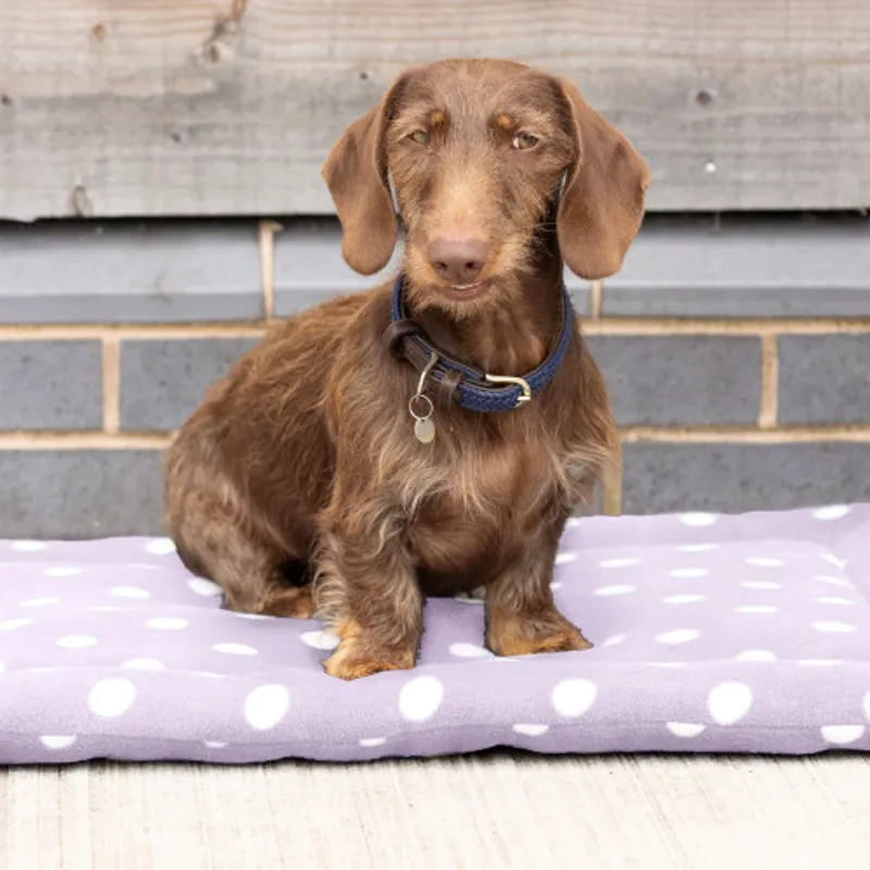 Supreme Products Dotty Fleece Dog Bed - Lavish Lilac
