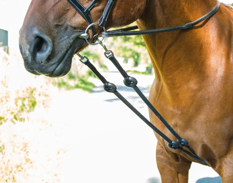 Shires Blenheim Outline Training Aid - Black