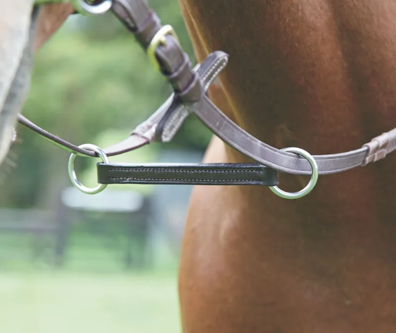 Shires Irish Martingale - Havana