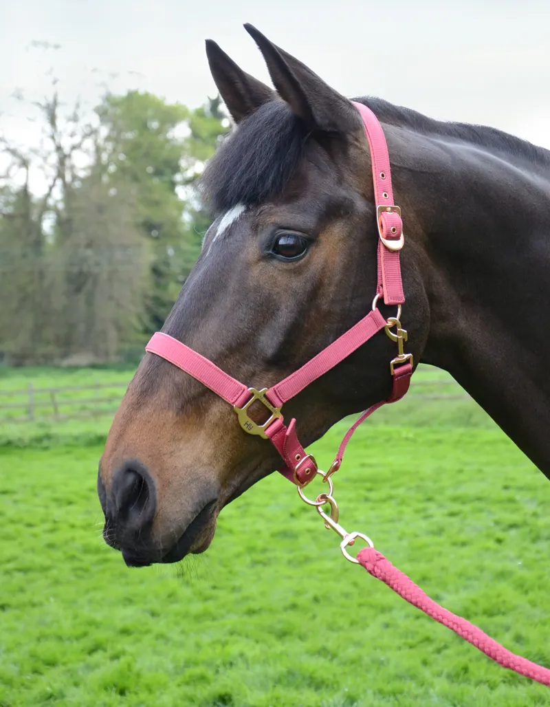 Hy Equestrian Rose Gold Head Collar and Lead Rope - Blush Pink/Rose Gold-1