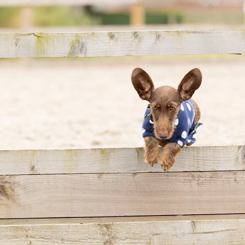 Supreme Products Dotty Fleece Dog Coat - Noble Navy-1
