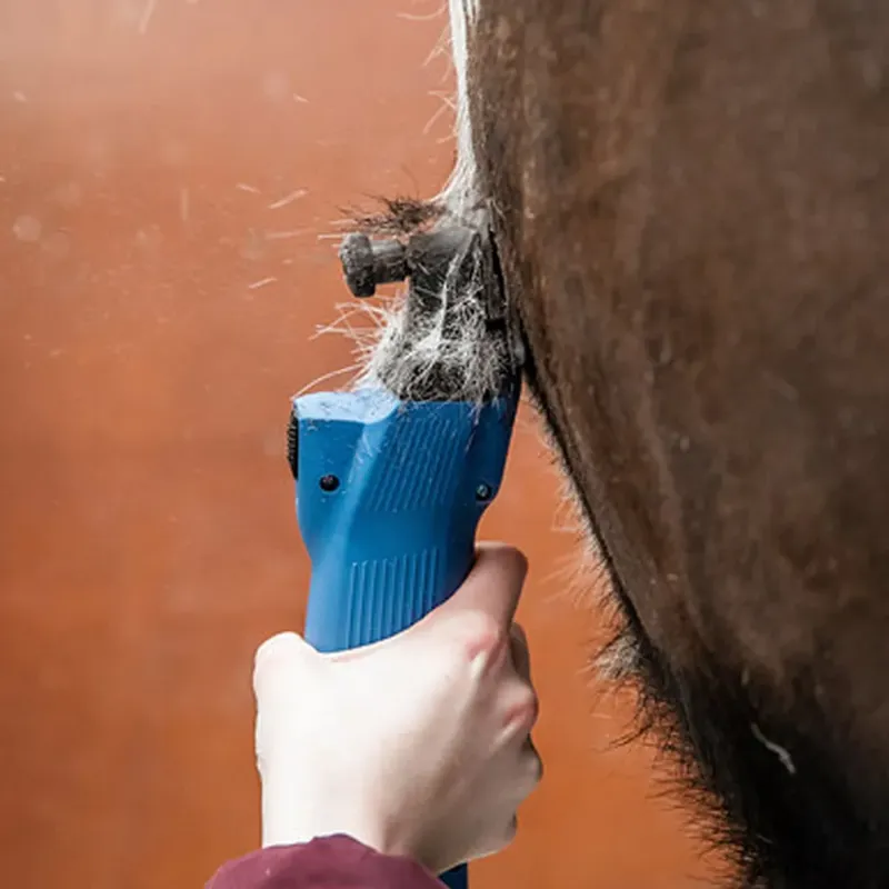 Lister Legend Clipper - Blue-4