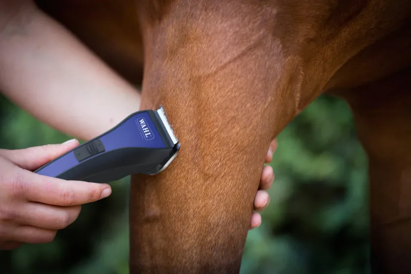 Wahl Admire Trimmer - Black/ Blue-4