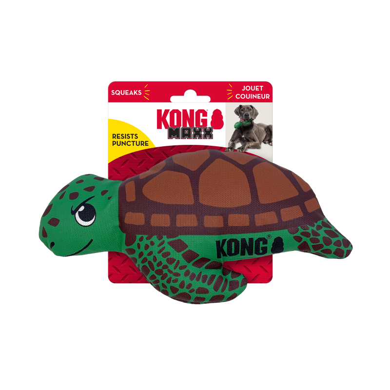 KONG Maxx Turtle 