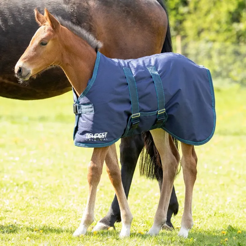 Shires Tempest Original 200g Foal Turnout Rug - Navy/Turquoise
