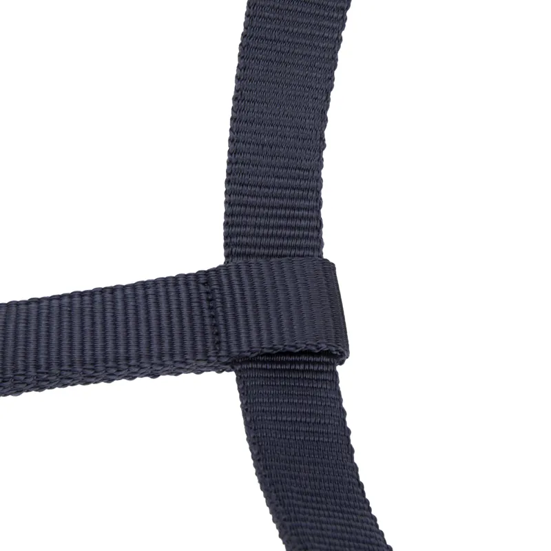 Shires ARMA Padded Headcollar - Navy-7
