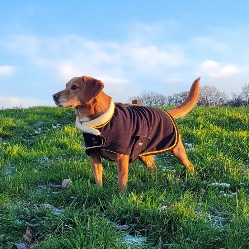 Supreme Products Royal Occasion Fleece Dog Coat - Black