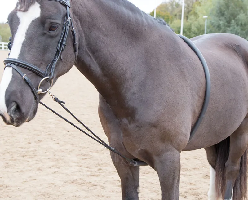 Shires Soft Lunging Aid - Black-1