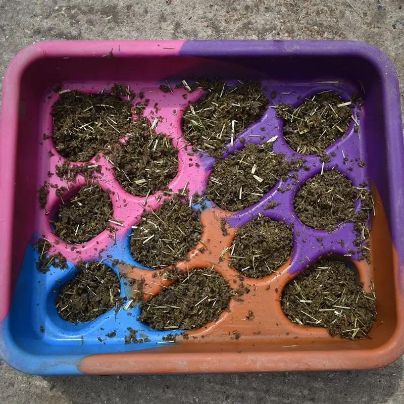 Parallax Grad-Dual Feeder - Colour Merge-2