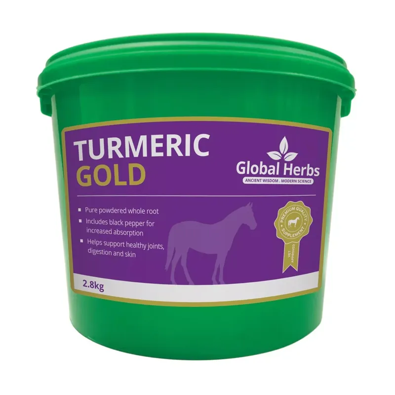 Global Herbs Turmeric Gold-1
