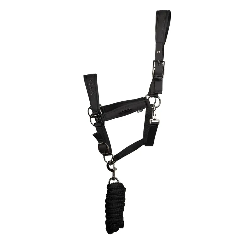 Coldstream Paxton Padded Head Collar and Lead Rope - Black