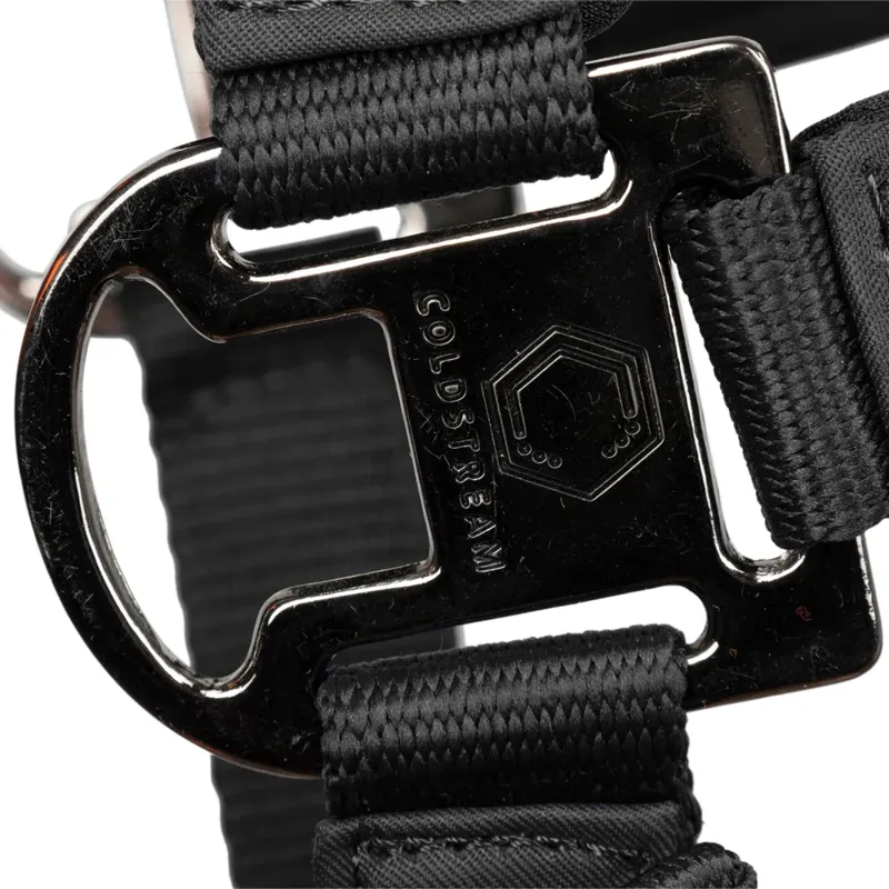 Coldstream Paxton Padded Head Collar and Lead Rope - Black-4