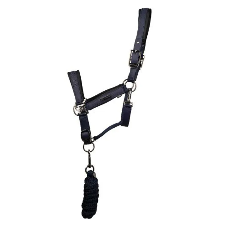 Coldstream Paxton Padded Head Collar and Lead Rope - Navy