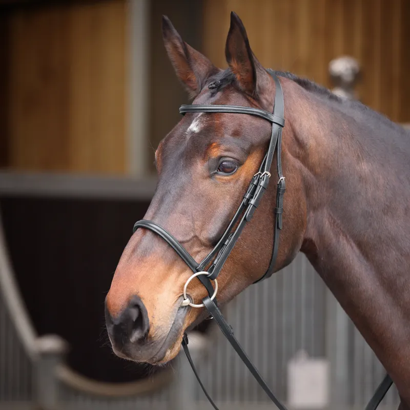 Shires Velociti GARA Raised Cavesson Bridle - Black