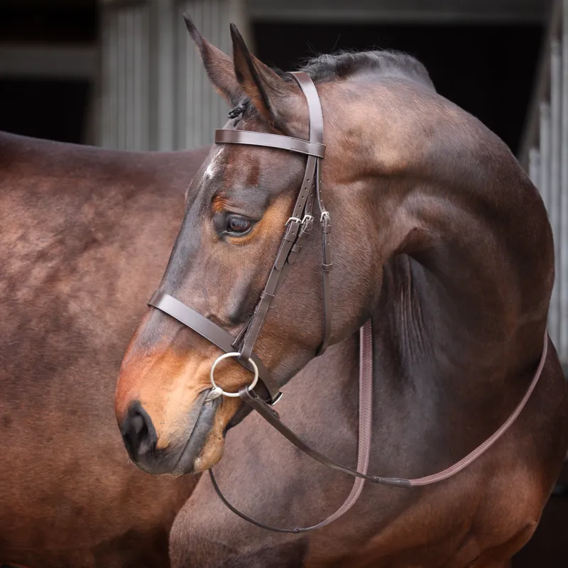 Shires Velociti GARA Plain Bridle - Havana