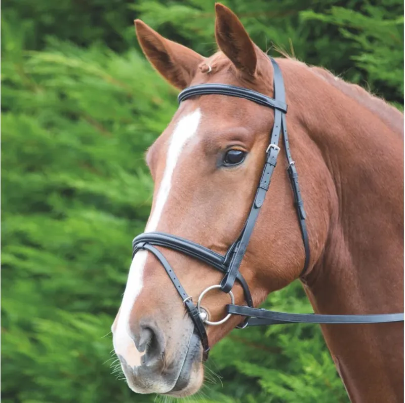 Shires Velociti GARA Raised Flash Bridle - Havana