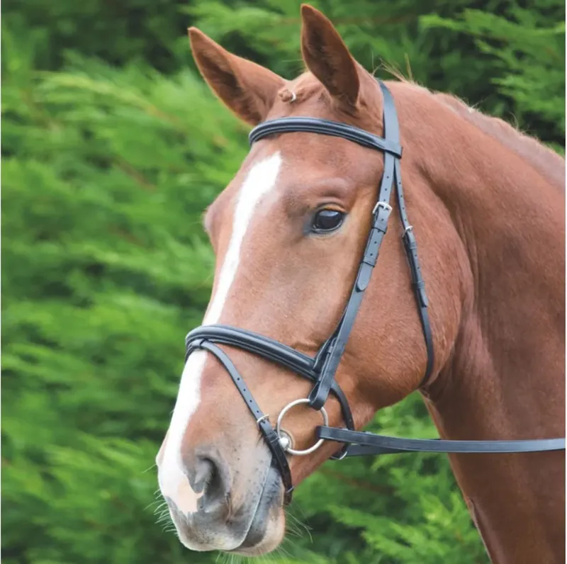 Shires Aviemore Raised Flash Bridle - Havana - Full - Unboxed