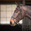 Shires Velociti GARA Comfort Fit Bridle - Black