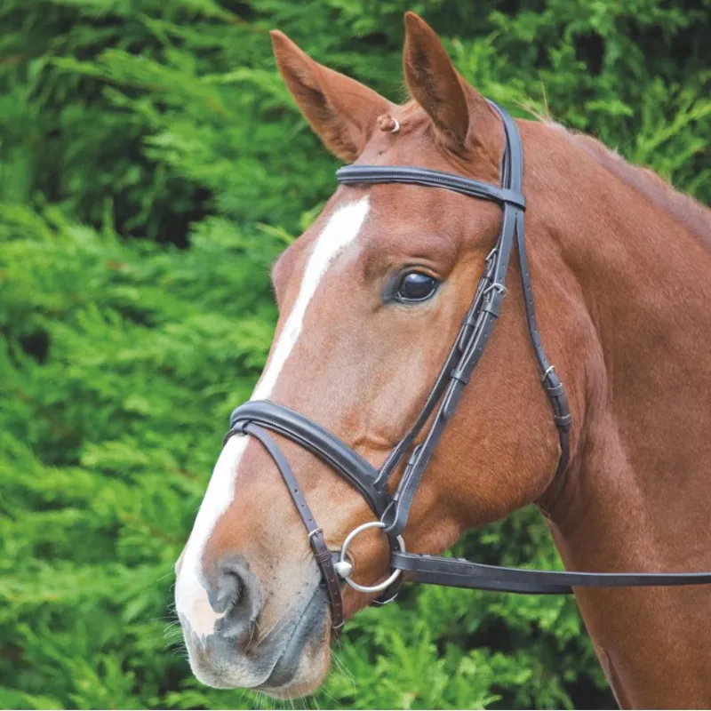Shires Velociti GARA Comfort Fit Bridle - Havana-1