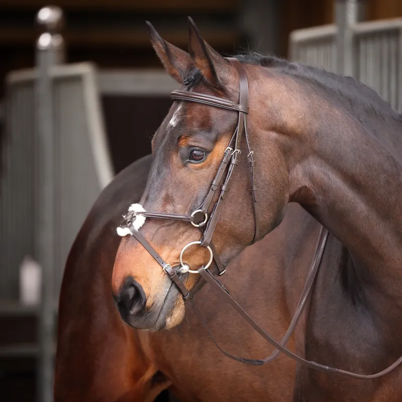Shires Velociti GARA Mexican Bridle - Havana