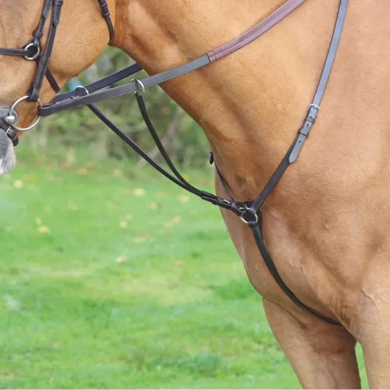 Shires Velociti GARA Hunt Weight Breastplate - Havana-1