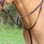 Shires Velociti GARA Running Martingale - Havana